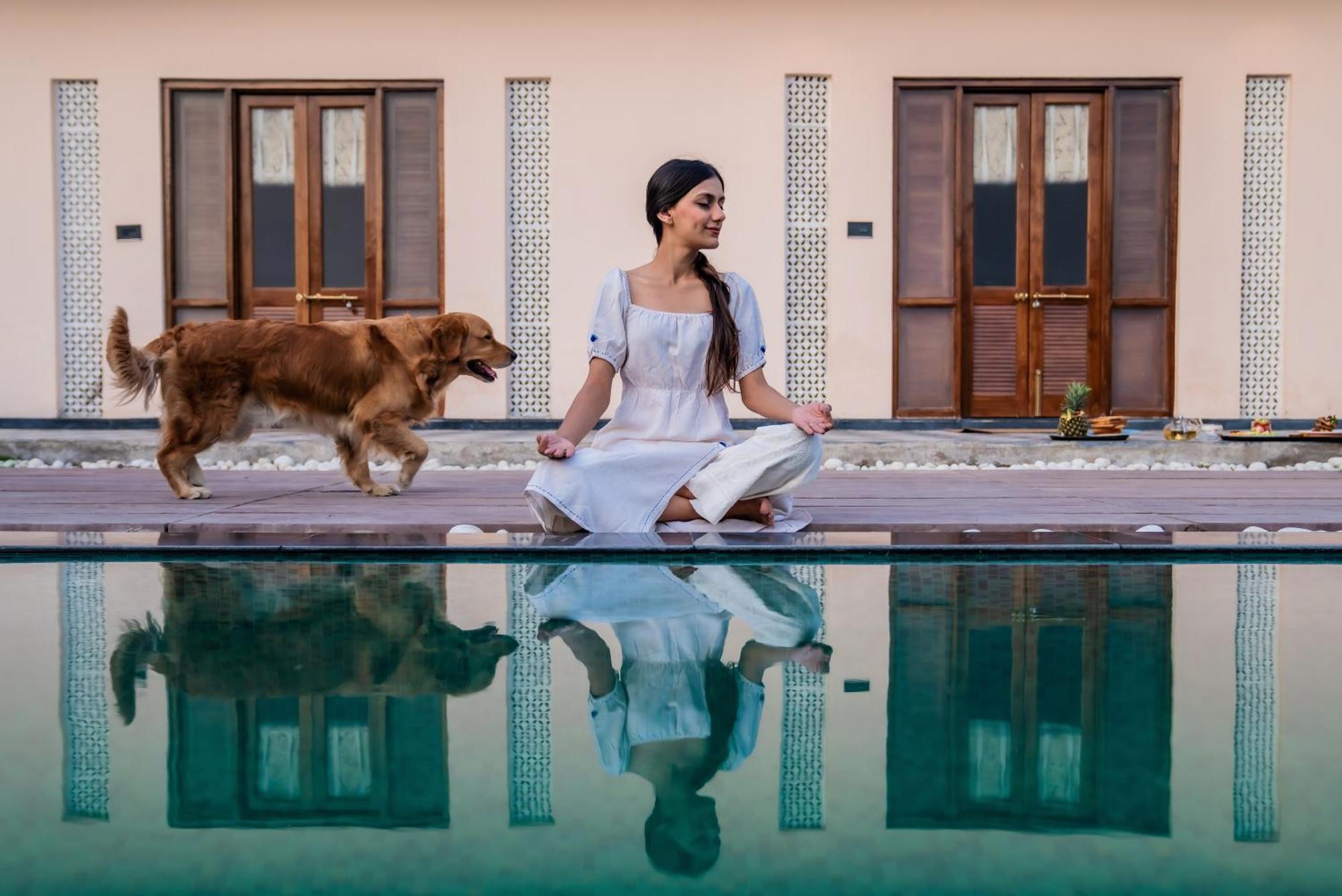 Parijat Private Pool Villa 1, 2 And 3 Bhk ウダイプル エクステリア 写真
